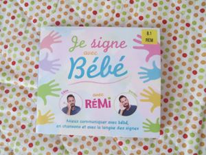 Je Signe Avec Bebe Avec Remi Mieux Communiquer Avec Bebe En Chansons Et Avec La Langue Des Signes